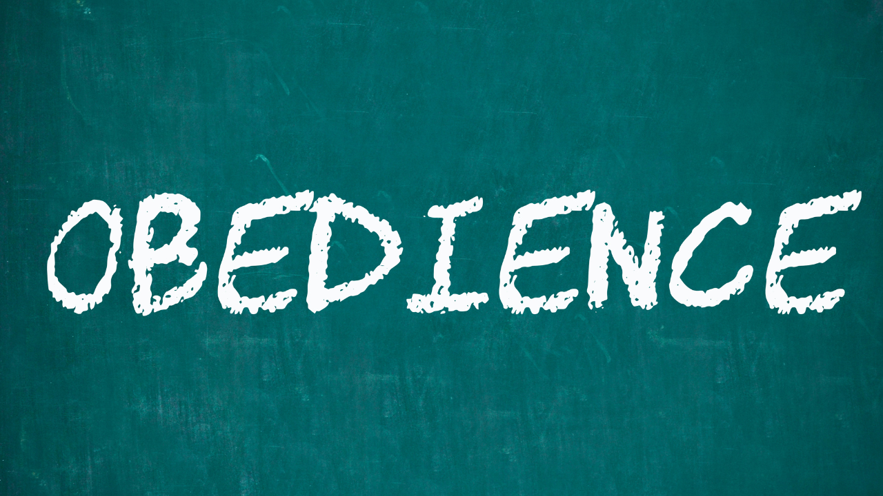 The Commands of the Gospel examines the significance of obedience in gospel passages. Obedience to God's will is the path to righteousness.