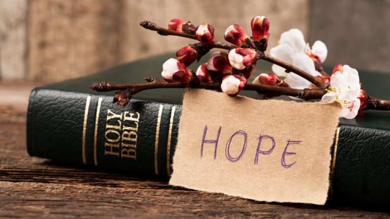 The Hope of the Gospel of Christ